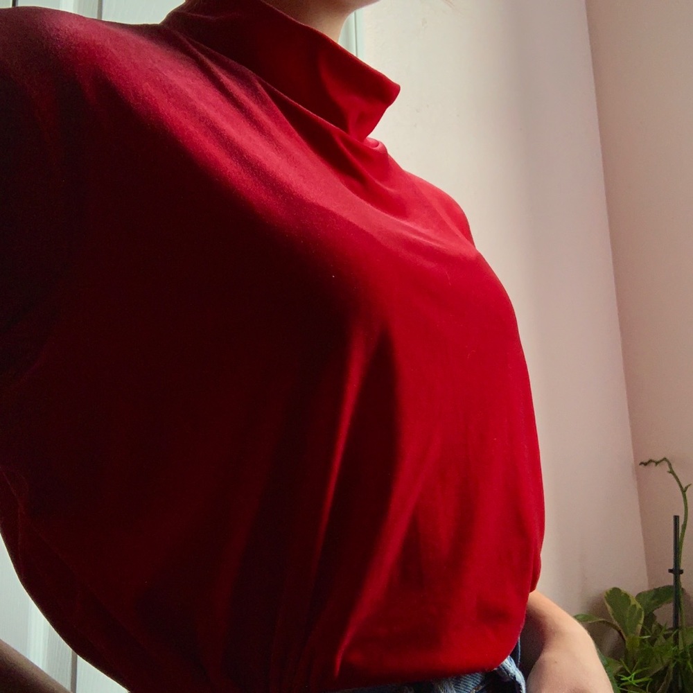 Red velvet Kathy Ireland turtle neck blouse